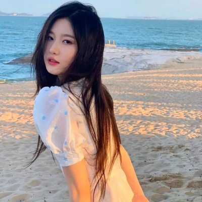 春城花满天